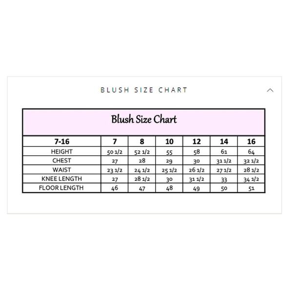 Girls Blush by US Angels Pouf Sleeve Tiered Ruffle Dress NWT Size 8 - Picture 12 of 12